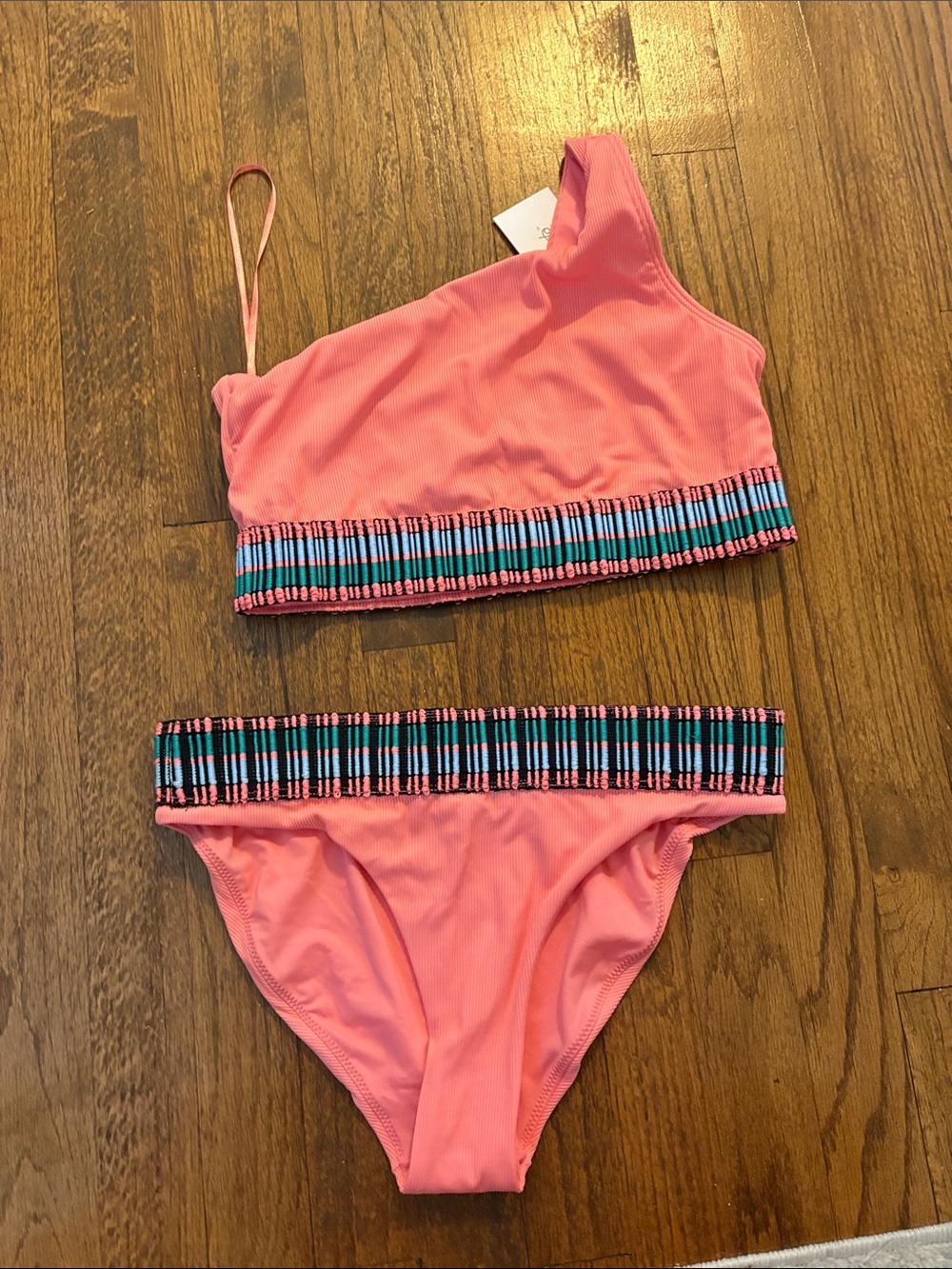 Peixoto Pink One-Shoulder Bikini with Blue & Black Trim
